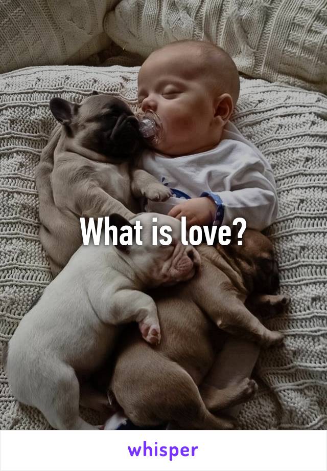 What is love?