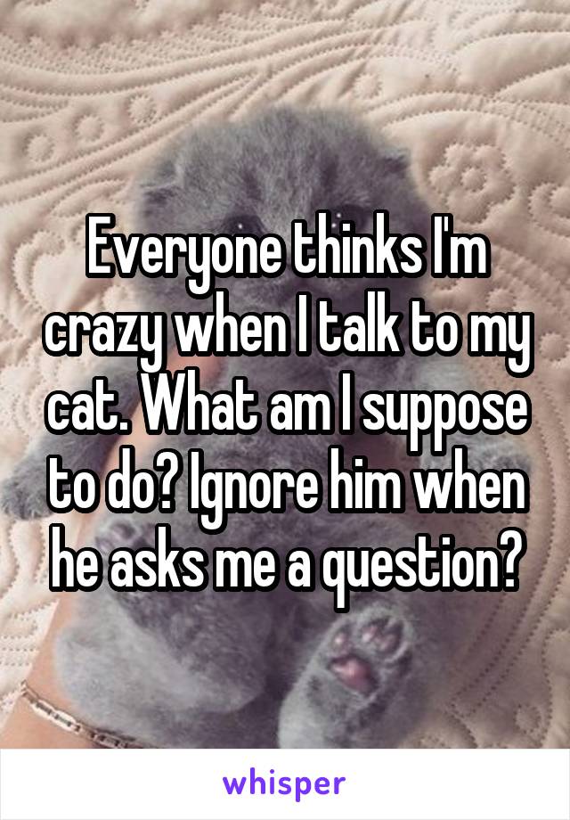 Everyone thinks I'm crazy when I talk to my cat. What am I suppose to do? Ignore him when he asks me a question?