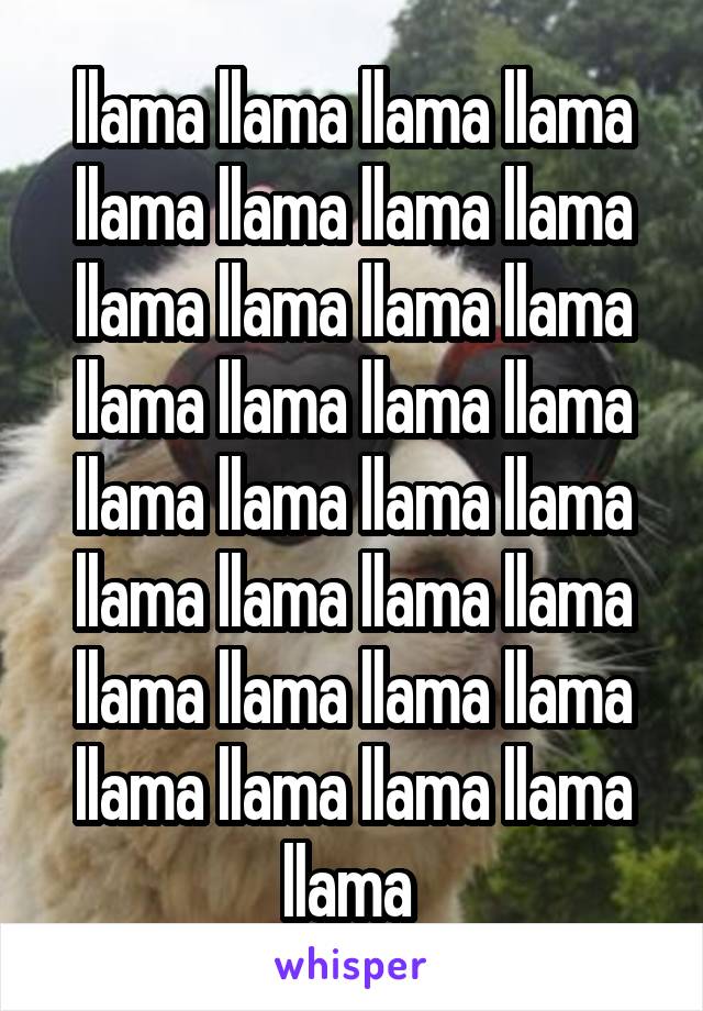 llama llama llama llama llama llama llama llama llama llama llama llama llama llama llama llama llama llama llama llama llama llama llama llama llama llama llama llama llama llama llama llama llama 