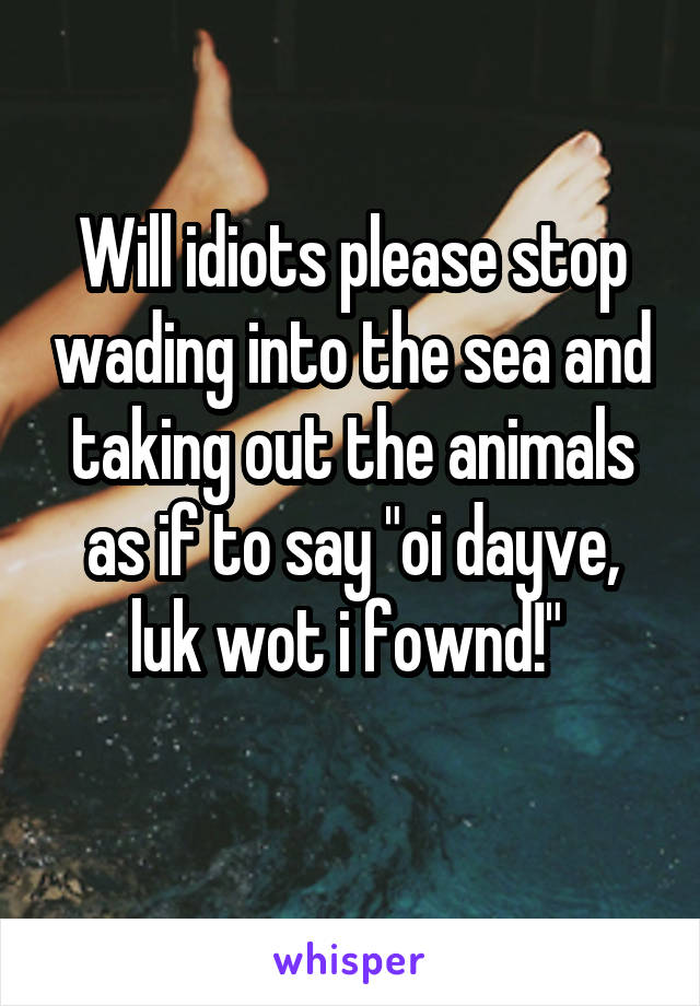 Will idiots please stop wading into the sea and taking out the animals as if to say "oi dayve, luk wot i fownd!" 
