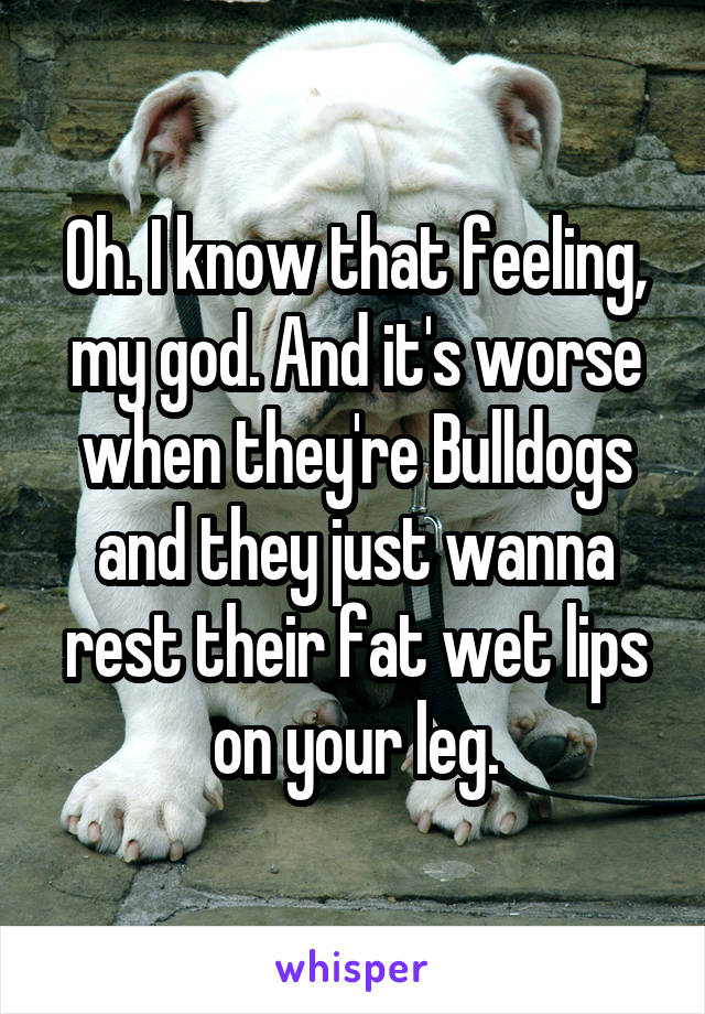 Oh. I know that feeling, my god. And it's worse when they're Bulldogs and they just wanna rest their fat wet lips on your leg.