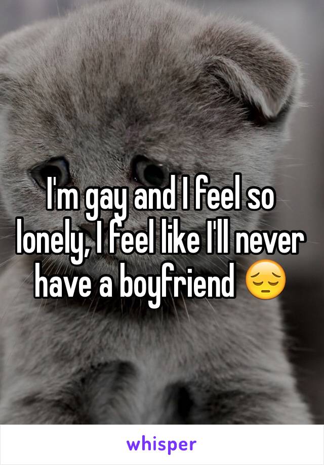 I'm gay and I feel so lonely, I feel like I'll never have a boyfriend 😔