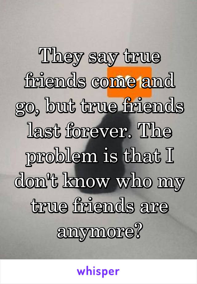 They say true friends come and go, but true friends last forever. The problem is that I don't know who my true friends are anymore?