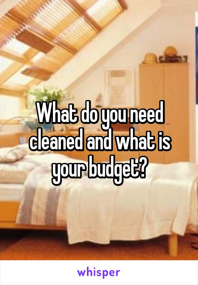 What do you need cleaned and what is your budget?