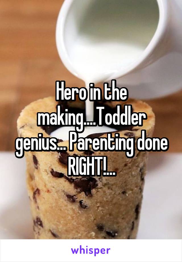 Hero in the making....Toddler genius... Parenting done RIGHT!...