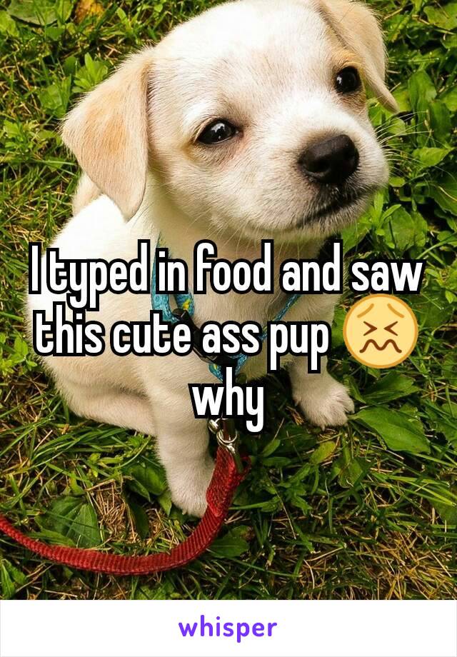 I typed in food and saw this cute ass pup 😖 why