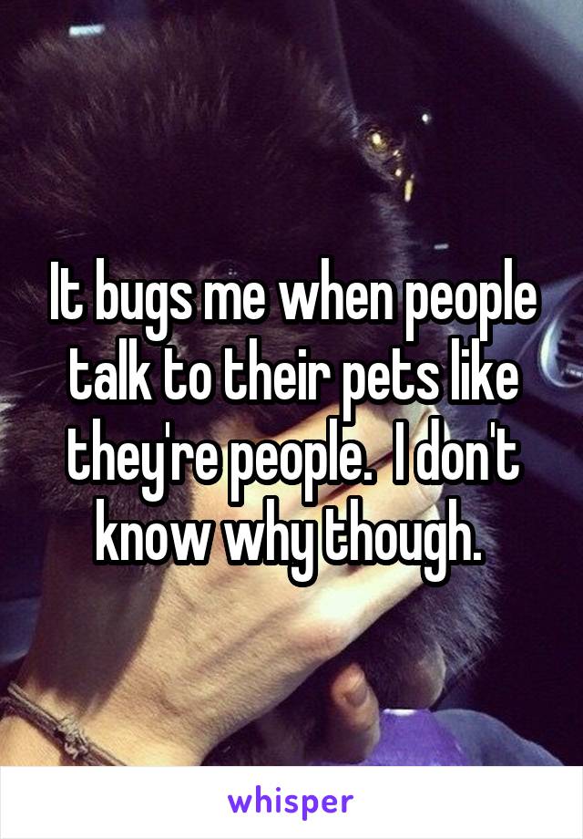 It bugs me when people talk to their pets like they're people.  I don't know why though. 