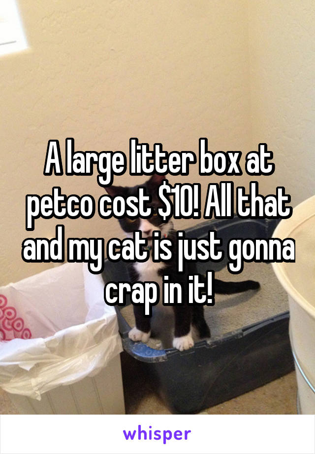 A large litter box at petco cost $10! All that and my cat is just gonna crap in it!