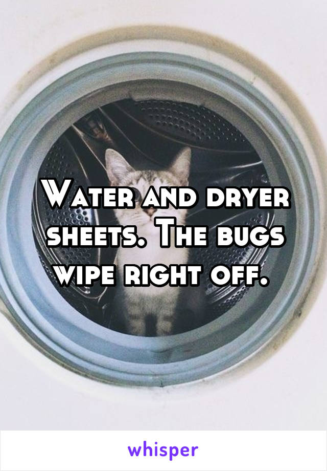 Water and dryer sheets. The bugs wipe right off. 