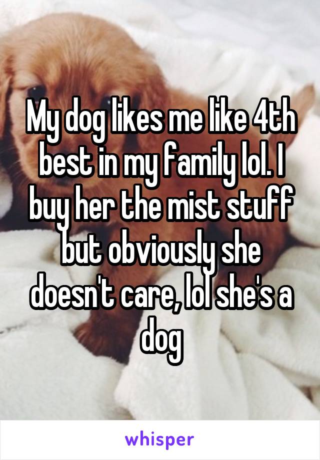 My dog likes me like 4th best in my family lol. I buy her the mist stuff but obviously she doesn't care, lol she's a dog
