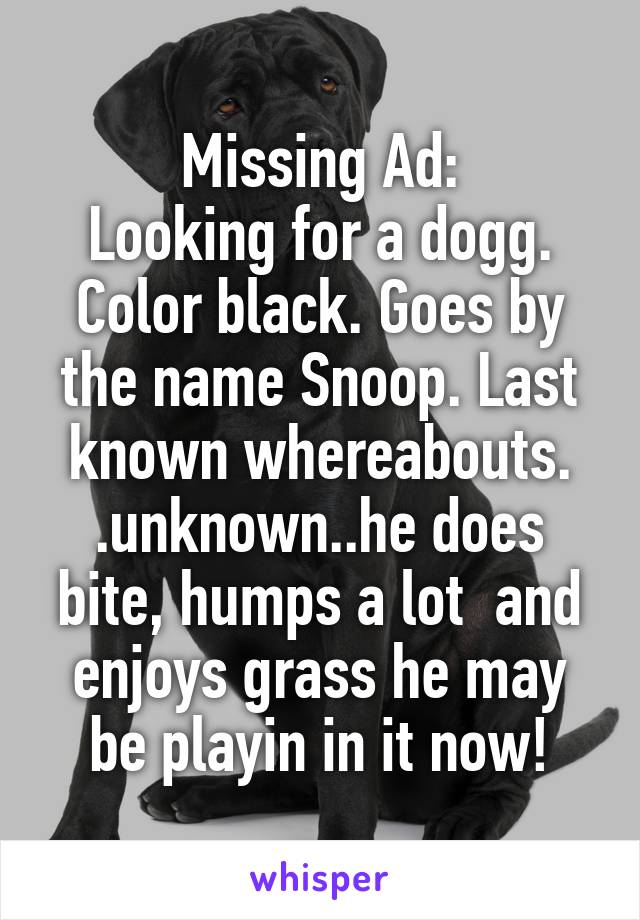 Missing Ad:
Looking for a dogg. Color black. Goes by the name Snoop. Last known whereabouts. .unknown..he does bite, humps a lot  and enjoys grass he may be playin in it now!