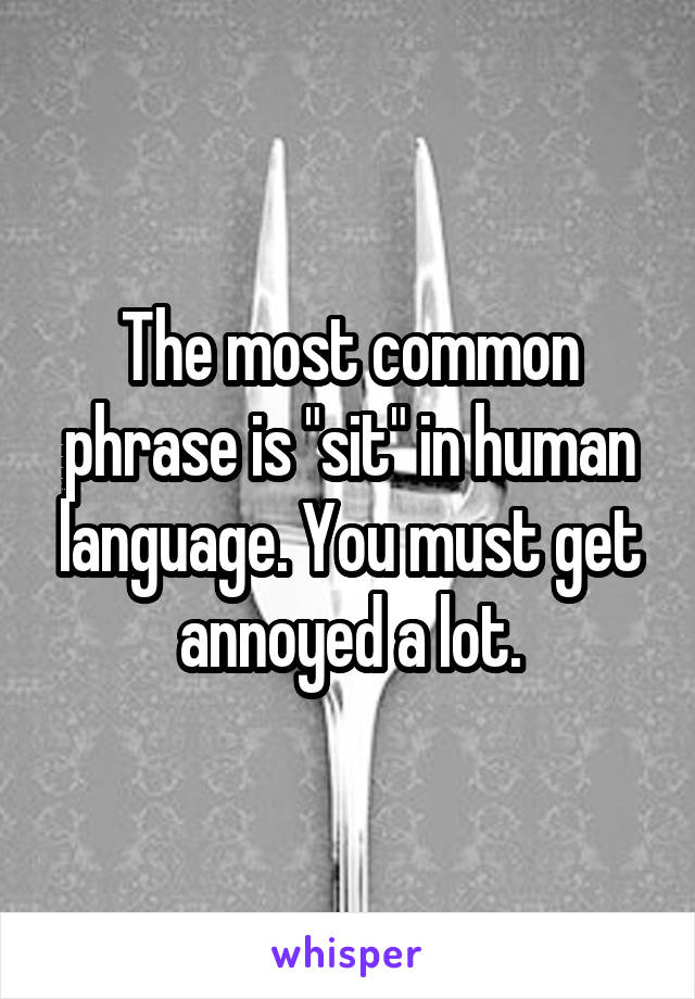 The most common phrase is "sit" in human language. You must get annoyed a lot.