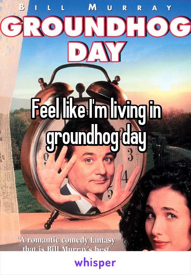 Feel like I'm living in groundhog day
