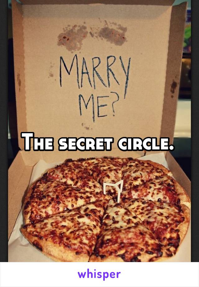 The secret circle. 