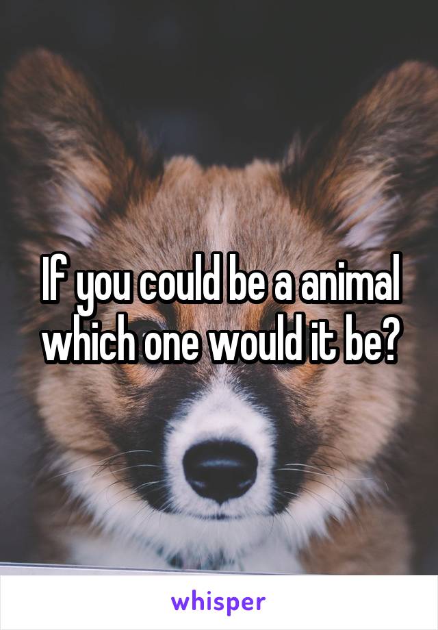 If you could be a animal which one would it be?