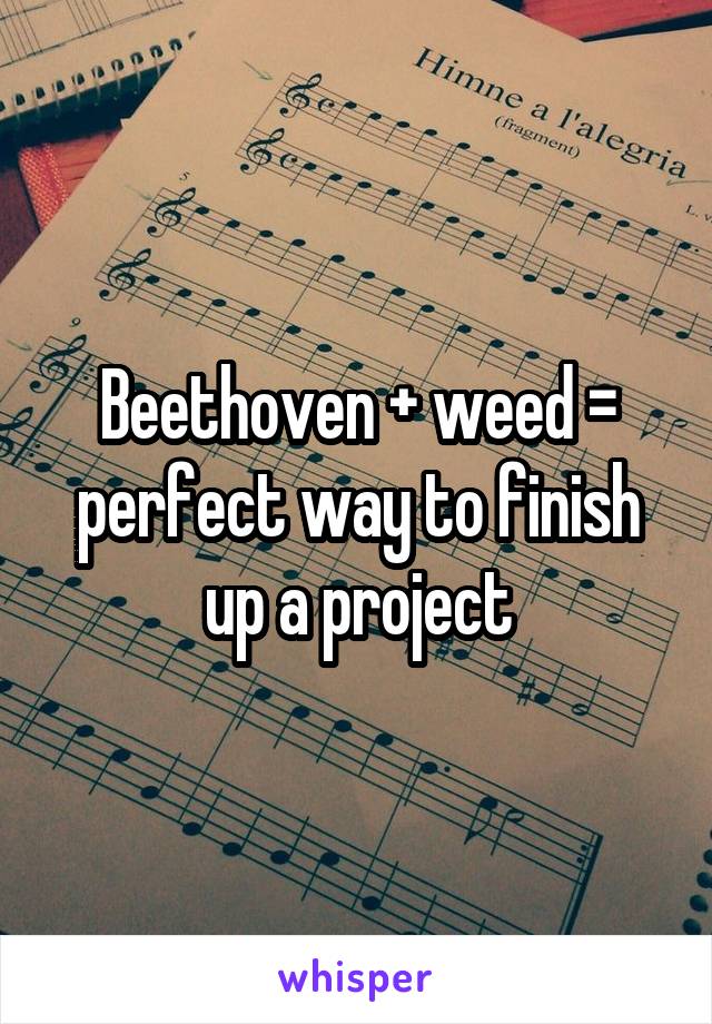 Beethoven + weed = perfect way to finish up a project