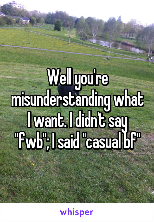 Well you're misunderstanding what I want. I didn't say "fwb"; I said "casual bf"