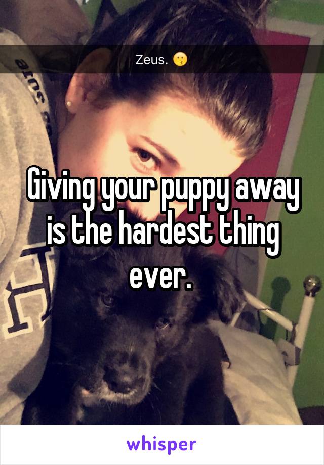 Giving your puppy away is the hardest thing ever. 