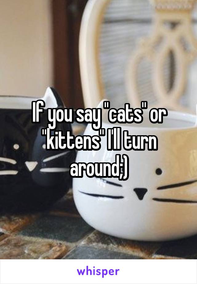 If you say "cats" or "kittens" I'll turn around;)