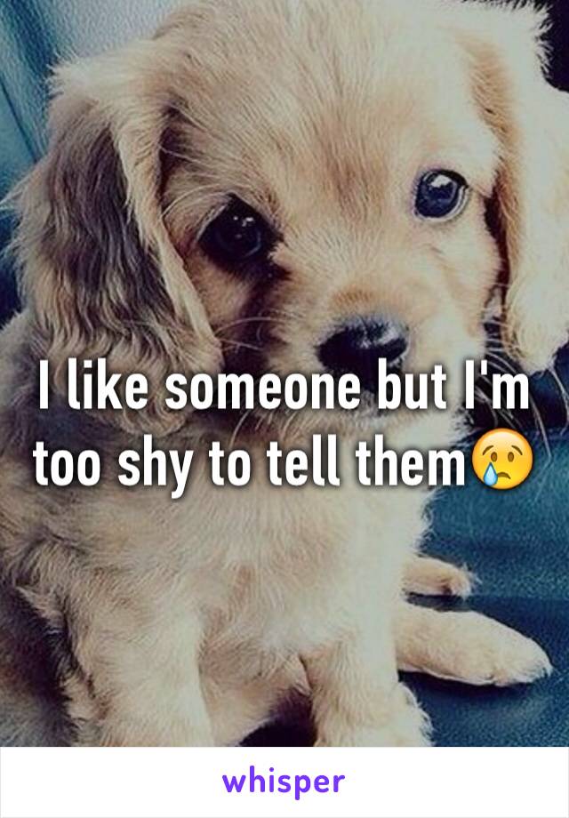 I like someone but I'm too shy to tell them😢