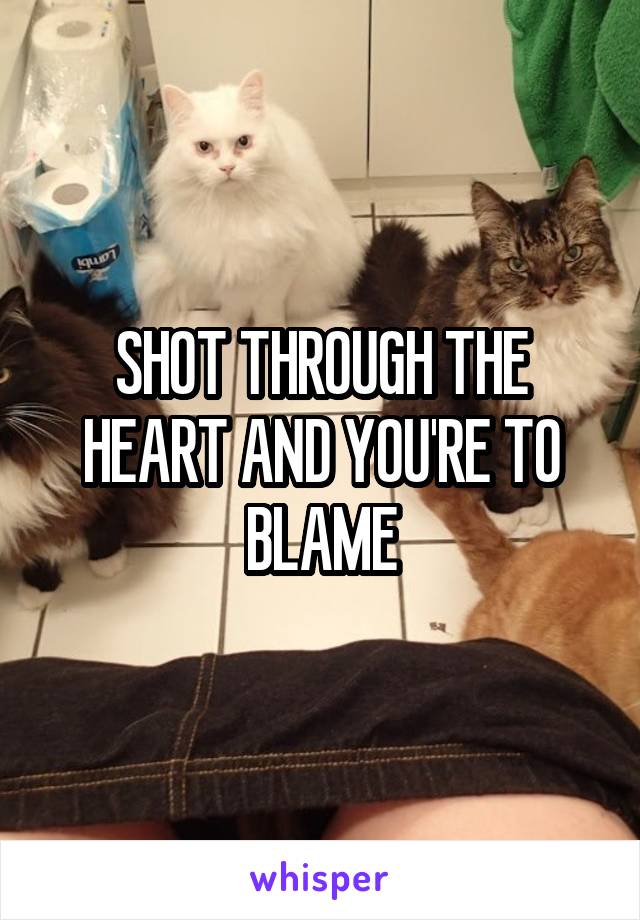 SHOT THROUGH THE HEART AND YOU'RE TO BLAME