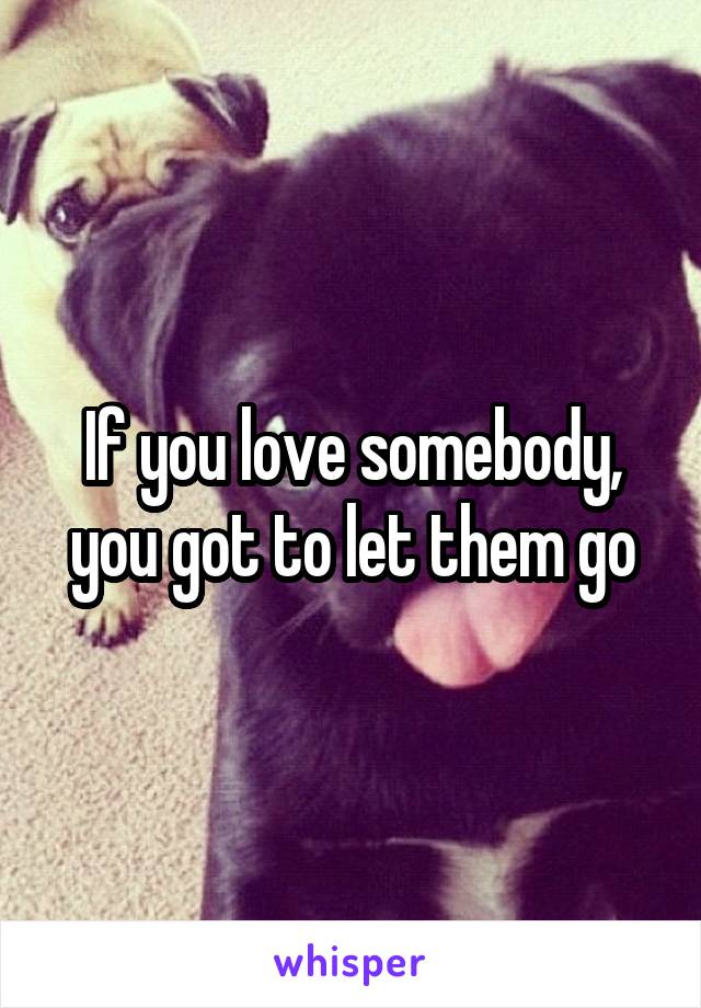 If you love somebody, you got to let them go