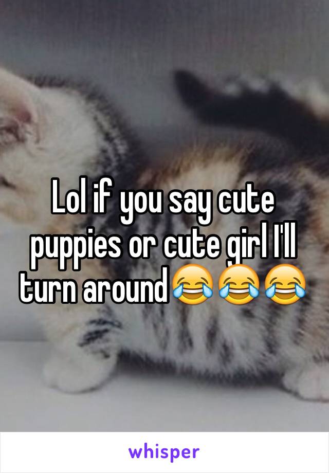 Lol if you say cute puppies or cute girl I'll turn around😂😂😂