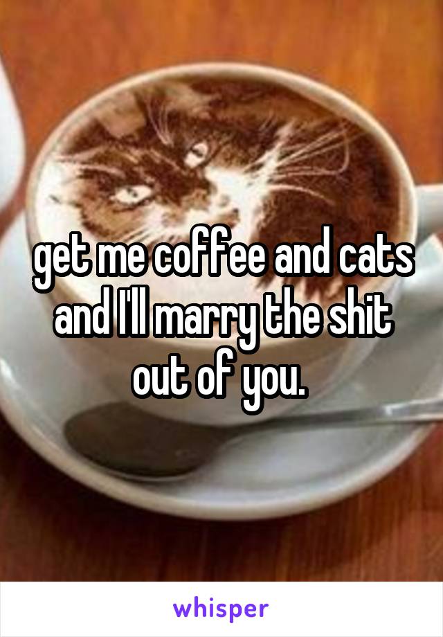 get me coffee and cats and I'll marry the shit out of you. 