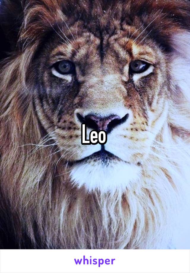 Leo 