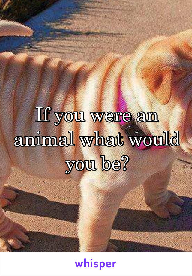 If you were an animal what would you be?