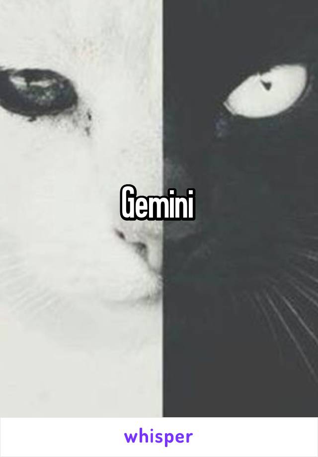 Gemini 
