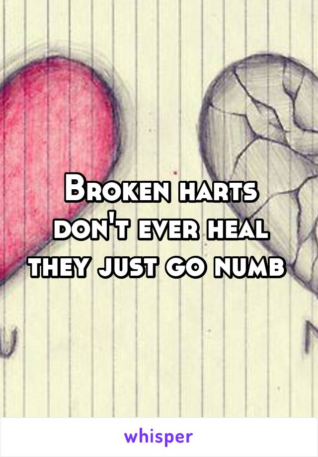 Broken harts don't ever heal they just go numb 