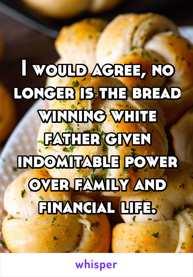 I would agree, no longer is the bread winning white father given indomitable power over family and financial life.