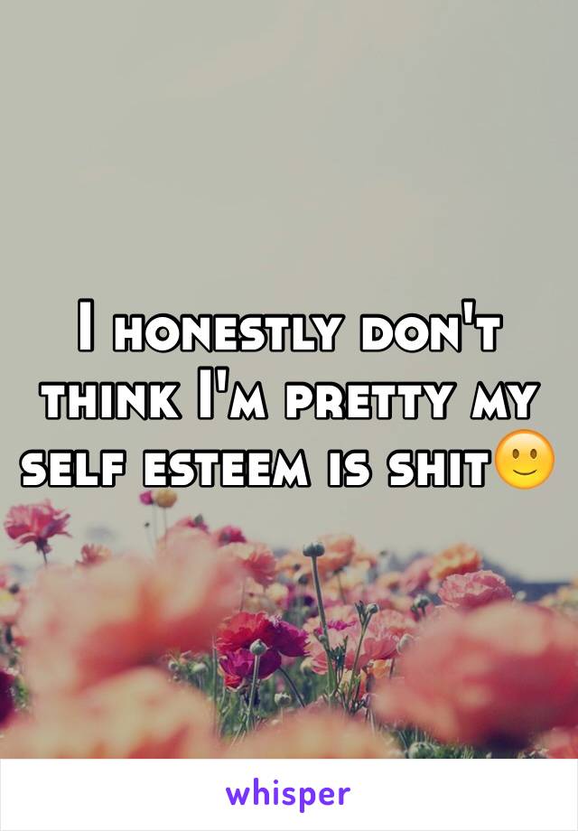 I honestly don't think I'm pretty my self esteem is shit🙂