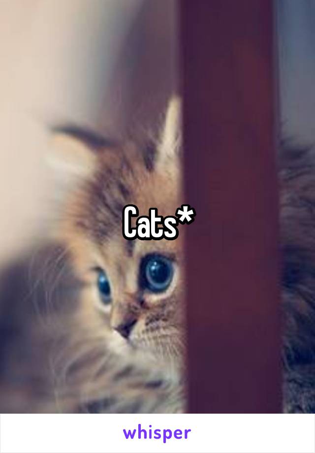 Cats*