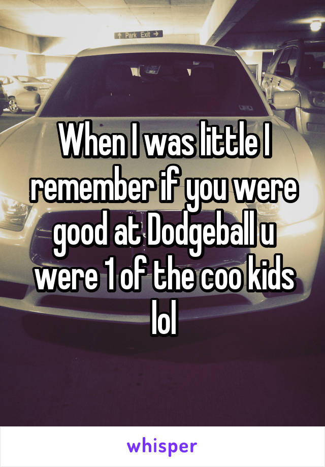 When I was little I remember if you were good at Dodgeball u were 1 of the coo kids lol