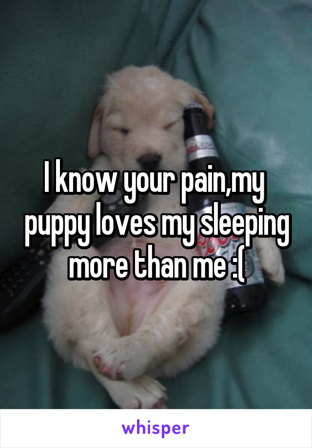 I know your pain,my  puppy loves my sleeping more than me :(