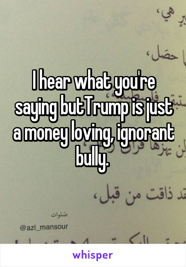 I hear what you're saying butTrump is just a money loving, ignorant bully. 
