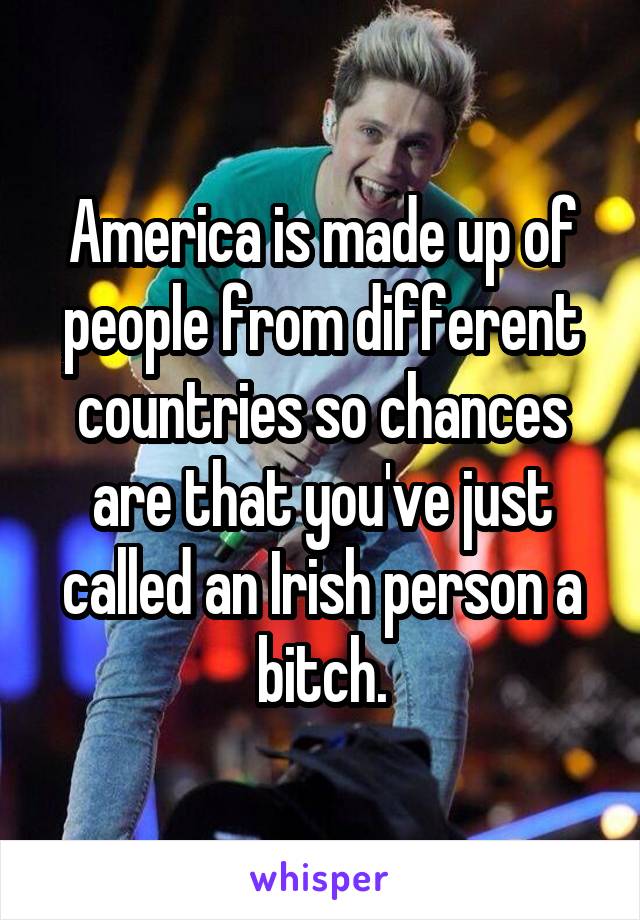America is made up of people from different countries so chances are that you've just called an Irish person a bitch.