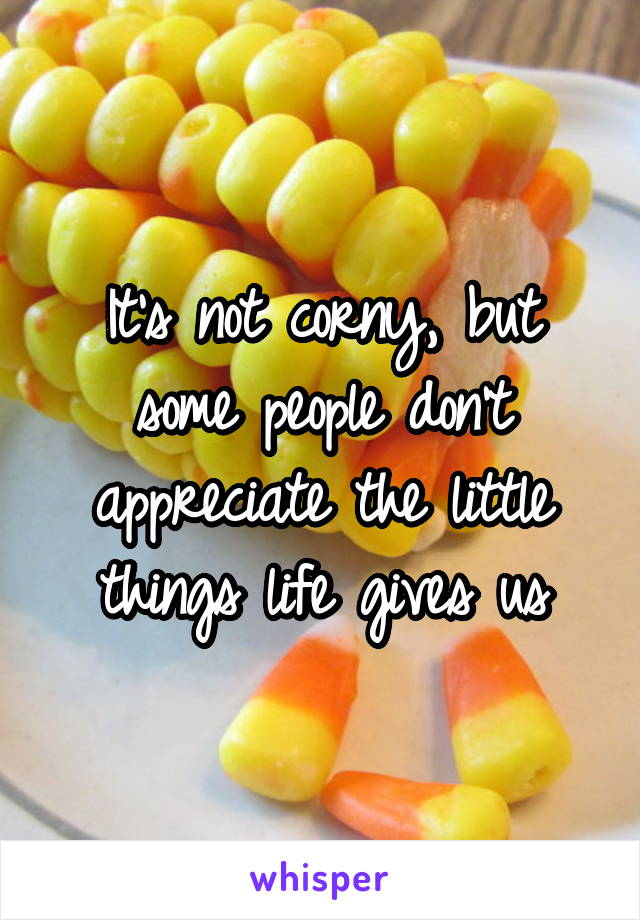 It's not corny, but some people don't appreciate the little things life gives us