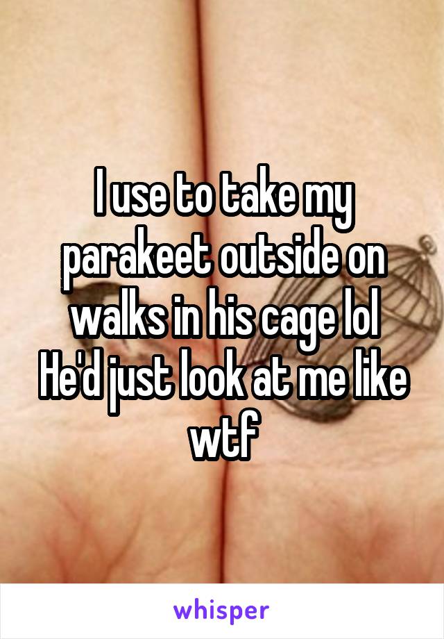 I use to take my parakeet outside on walks in his cage lol
He'd just look at me like wtf