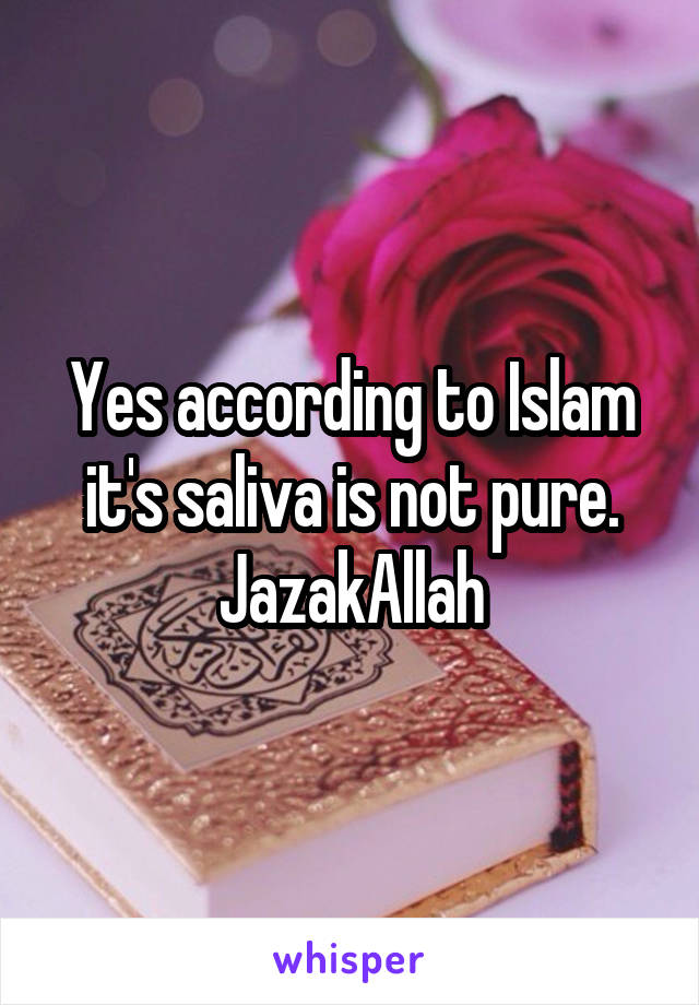 Yes according to Islam it's saliva is not pure.
JazakAllah