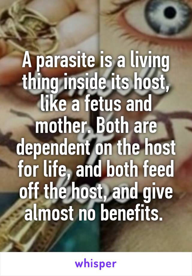 A parasite is a living thing inside its host, like a fetus and mother. Both are dependent on the host for life, and both feed off the host, and give almost no benefits. 