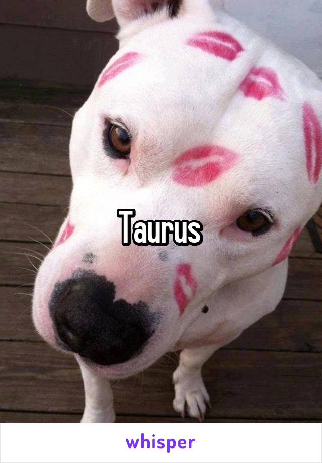 Taurus 