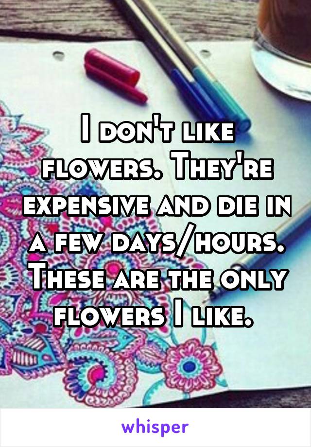 I don't like flowers. They're expensive and die in a few days/hours. These are the only flowers I like. 