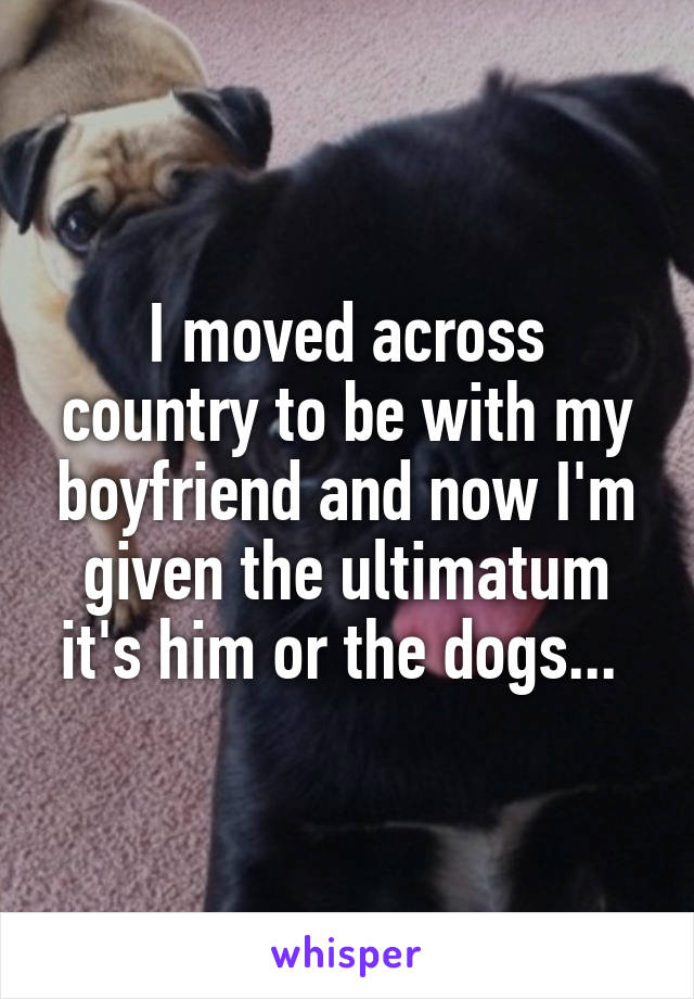 I moved across country to be with my boyfriend and now I'm given the ultimatum it's him or the dogs... 