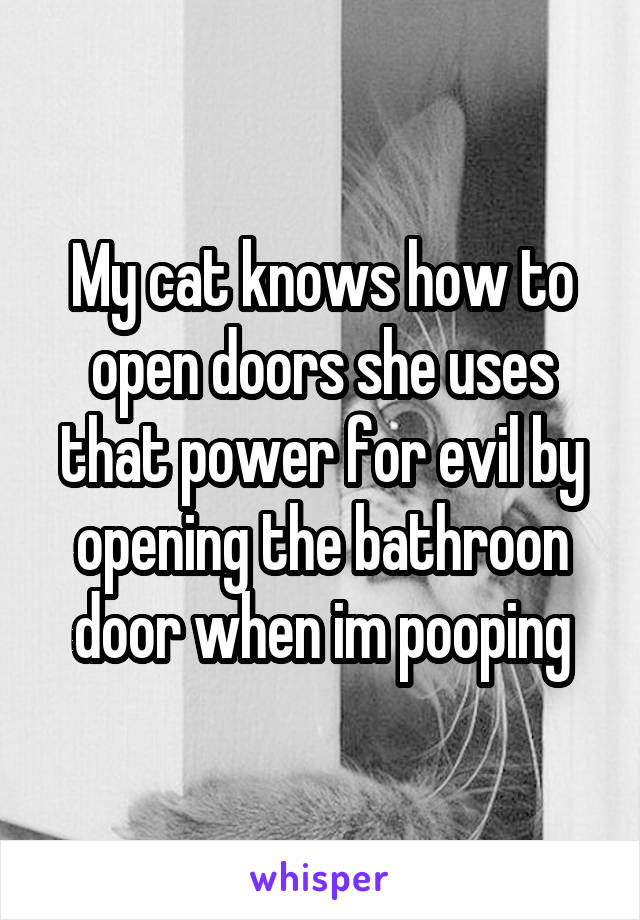 My cat knows how to open doors she uses that power for evil by opening the bathroon door when im pooping