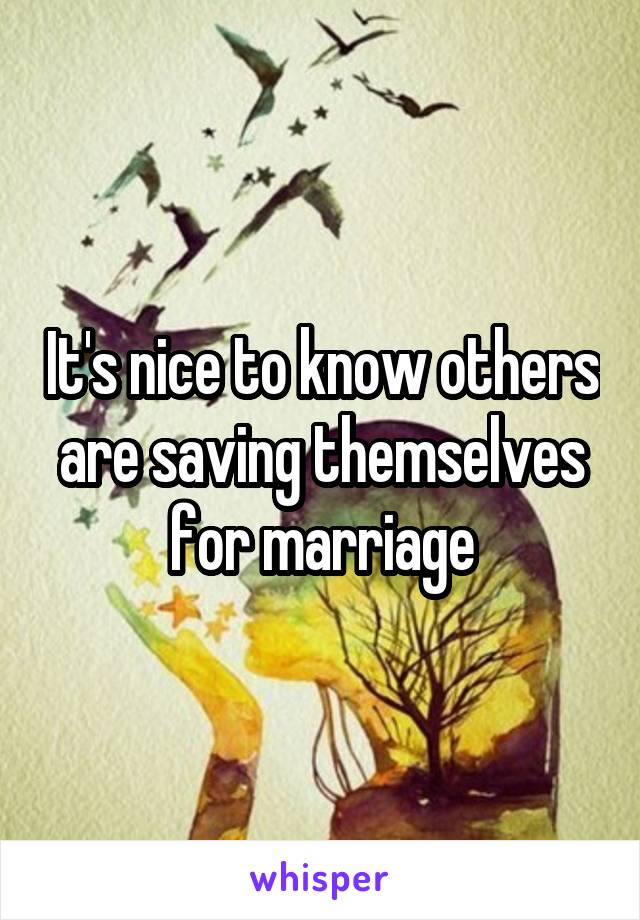 It's nice to know others are saving themselves for marriage