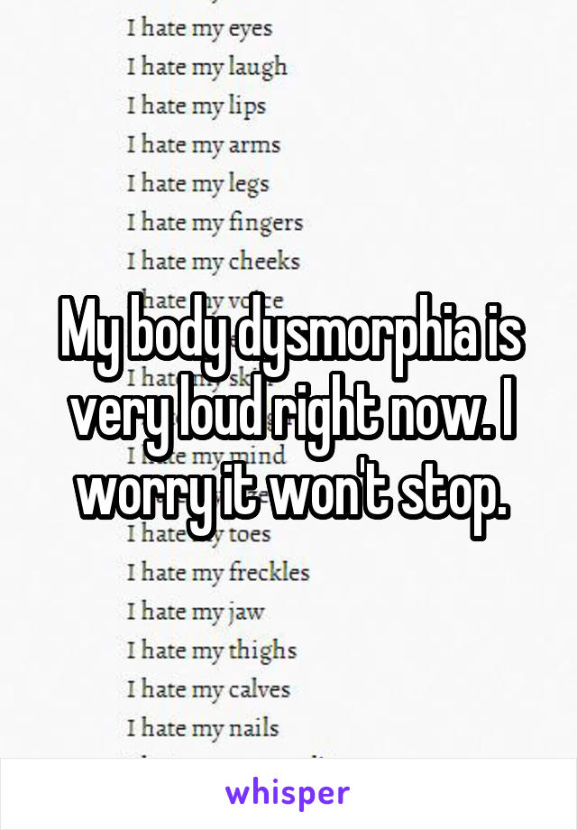 My body dysmorphia is very loud right now. I worry it won't stop.