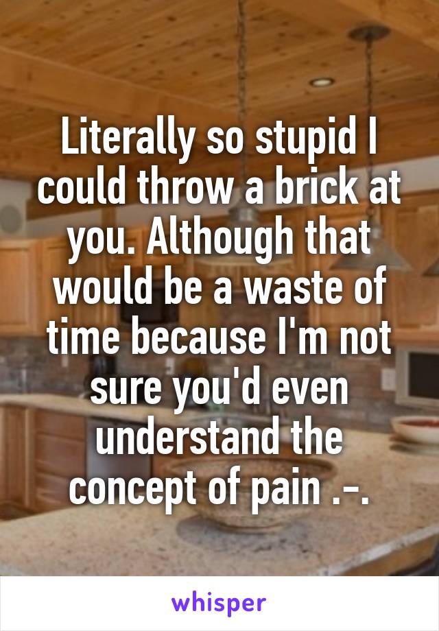 Literally so stupid I could throw a brick at you. Although that would be a waste of time because I'm not sure you'd even understand the concept of pain .-.